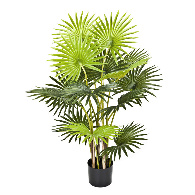 The Seasonal Aisle Artificial Fan Finger Palm Tree in Black Pot 95cm Wayfair.co.uk